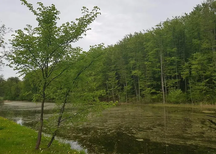 51 住宿加早餐酒店 4*